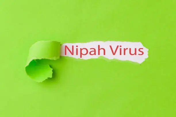 Nipah virus is a very deadly virus which could kill three out of four infected persons. Nipah virus spread from bats and pigs or the fruits eaten by bats. Owing to its severity the urgent vaccine and treatment is inevitable.