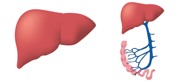 Viral hepatitis is basically an inflammation of liver. Viral hepatitis happens when virus enters into liver cells named hepatocytes and replicate there