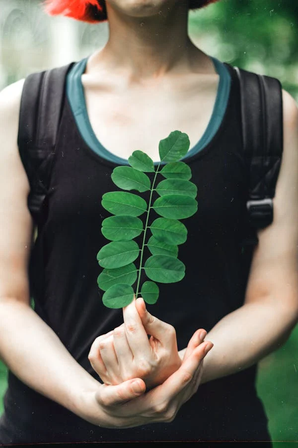 In today’s dynamic and high-stress world, Moringa benefits for mental health cannot be overlooked. 
