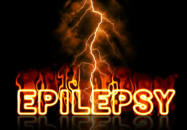 Epilepsy is a non-communicable chronic illness of the brain